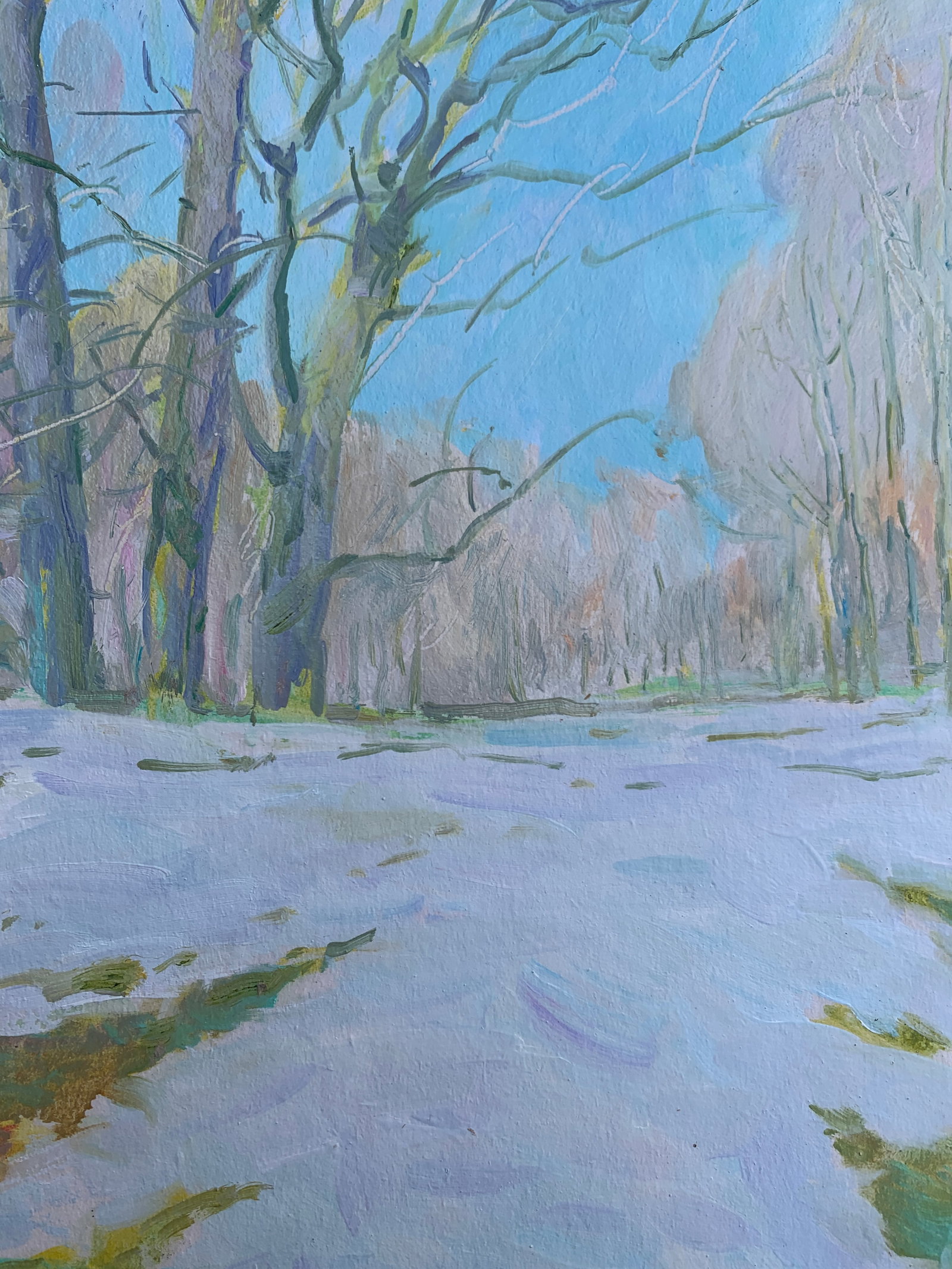 Oil painting Winter Oleksandr Oleksandrovich Nazarenko - 5