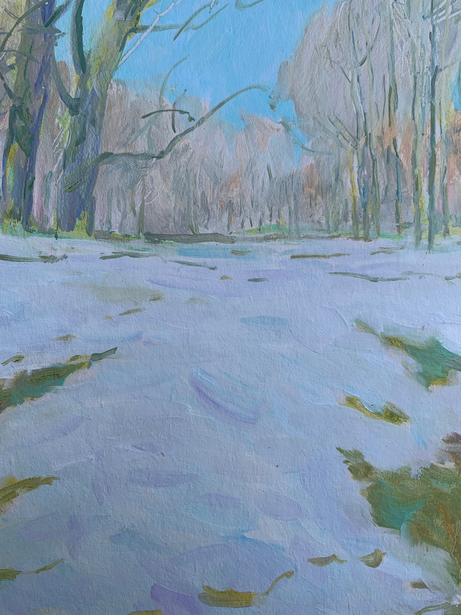 Oil painting Winter Oleksandr Oleksandrovich Nazarenko - 6