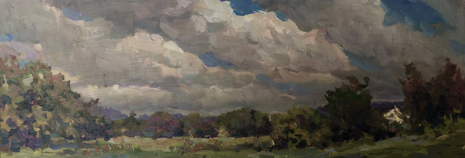 Oil painting cloudy weather Sergey Ivanovich: Title: Oil painting cloudy weather Sergey Ivanovich Description: 104ALAA Painter: Sergey Ivanovich Animov Size: 60x22 cm/23.6x8.66 inches Components: cardboard, oil Original painting from our collecti