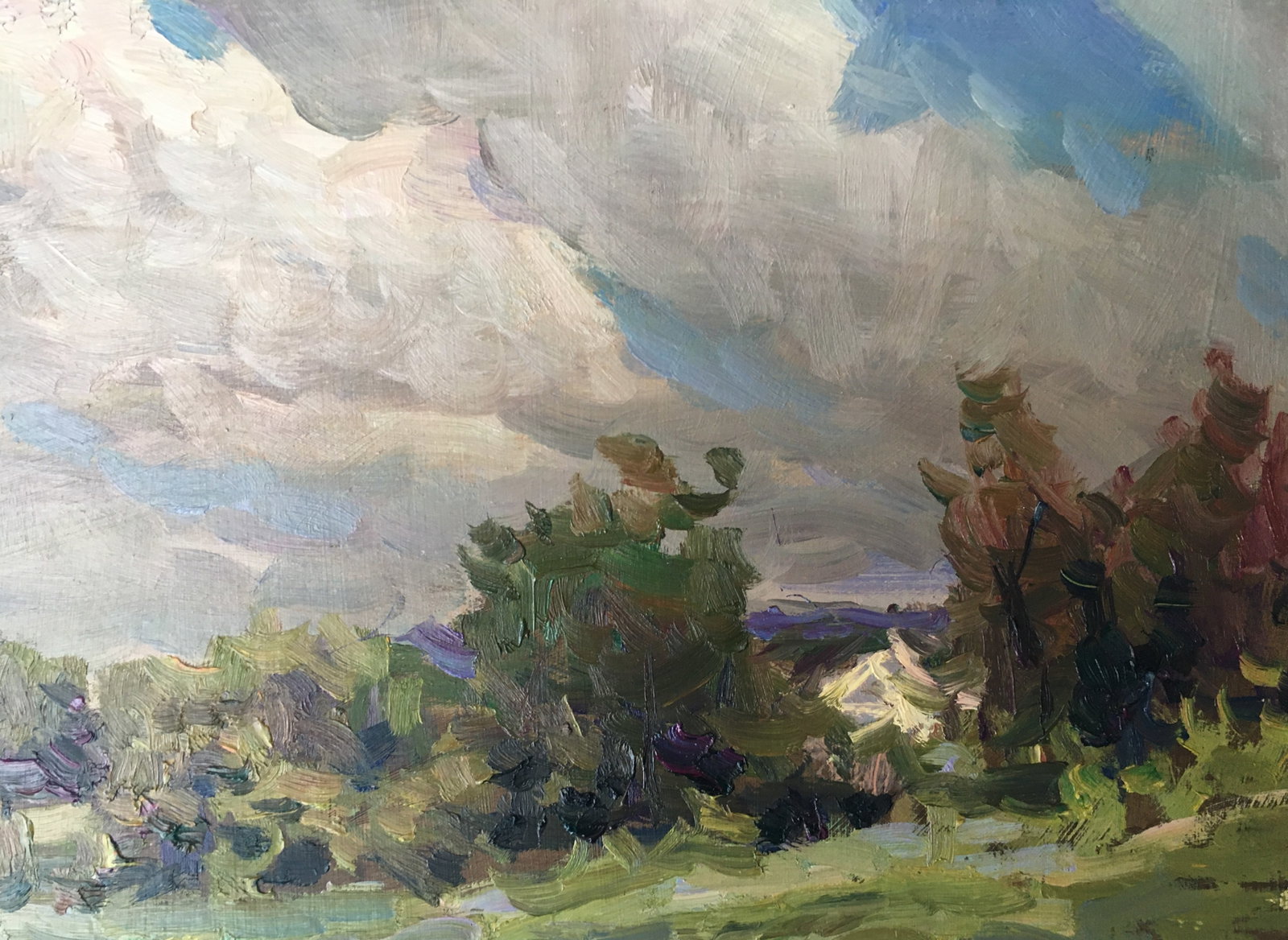 Oil painting cloudy weather Sergey Ivanovich - 6