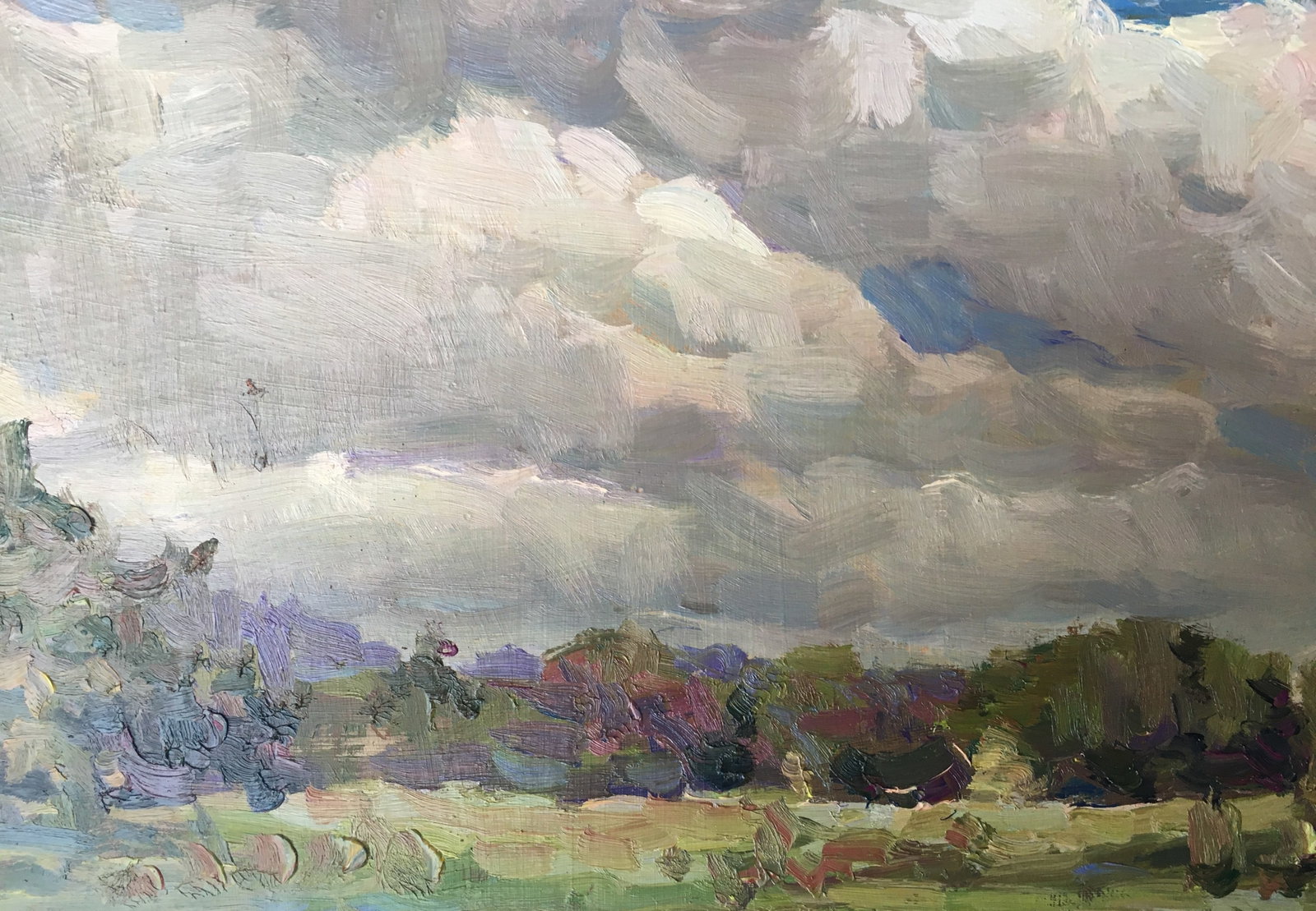 Oil painting cloudy weather Sergey Ivanovich - 8