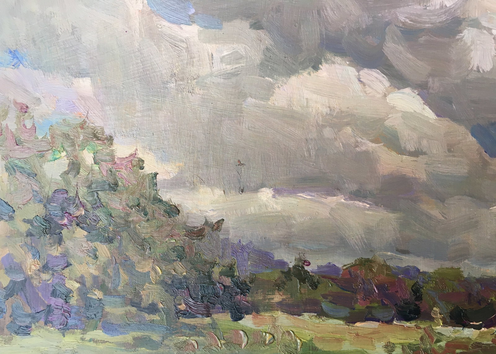Oil painting cloudy weather Sergey Ivanovich - 9