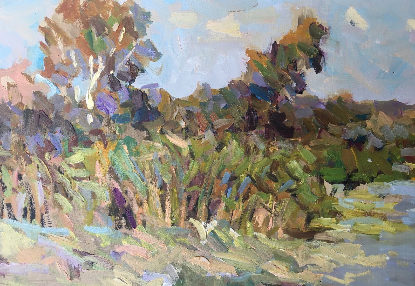 Oil painting river near the forest Sergey Ivanovich - 10