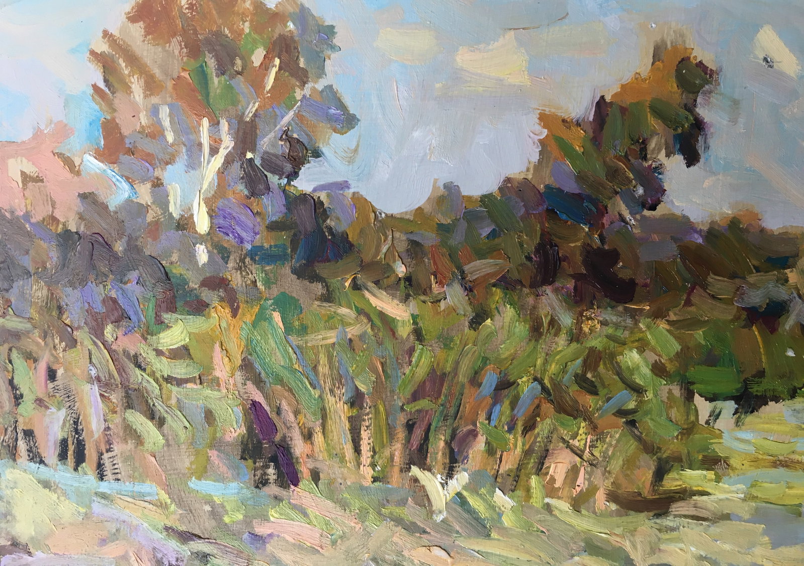 Oil painting river near the forest Sergey Ivanovich - 3