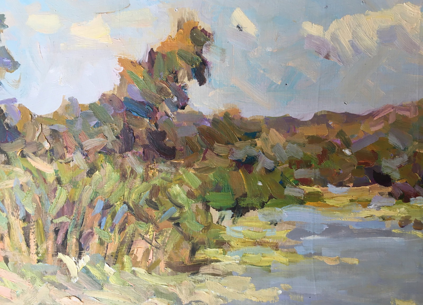 Oil painting river near the forest Sergey Ivanovich - 4