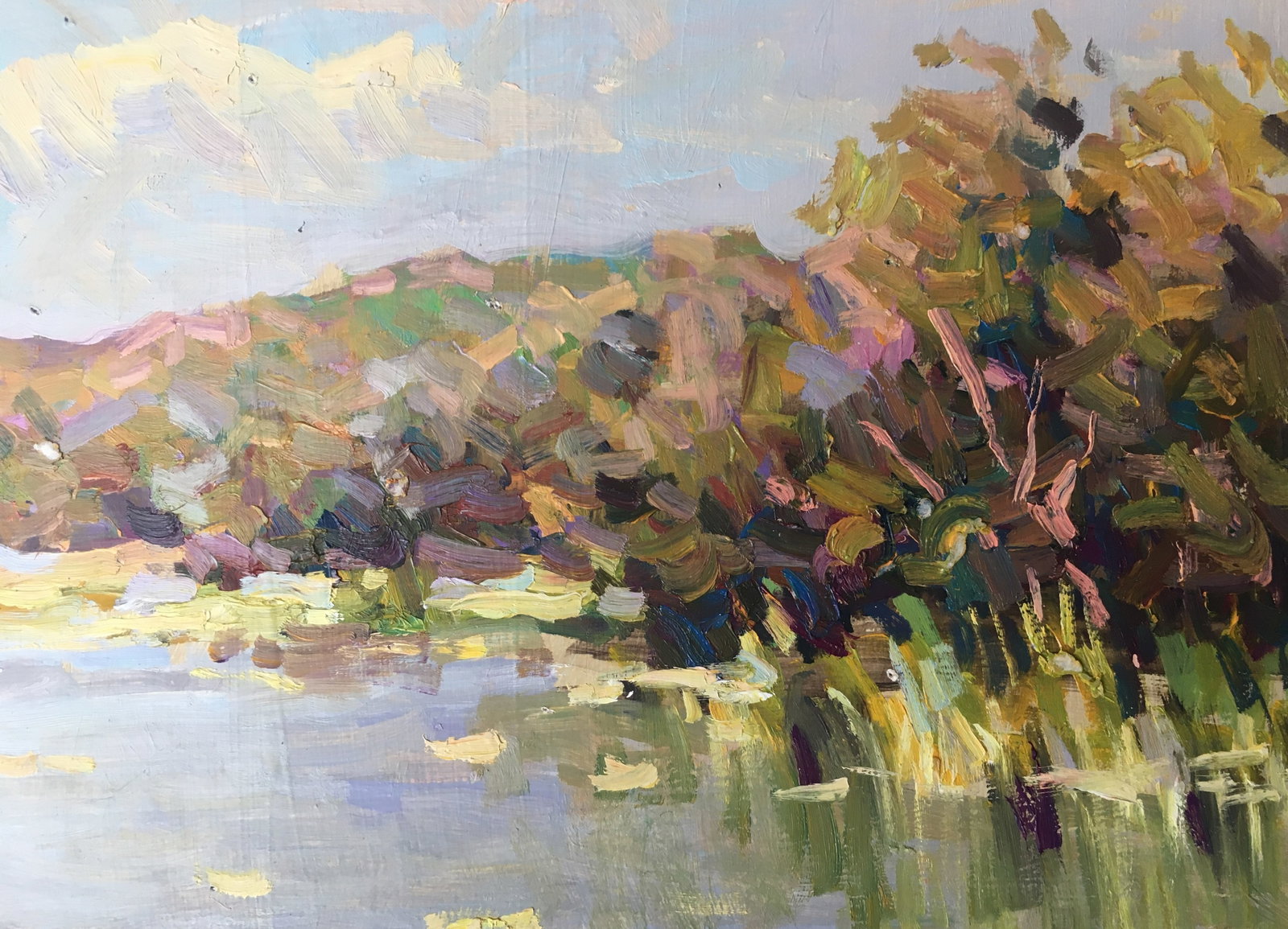 Oil painting river near the forest Sergey Ivanovich - 6