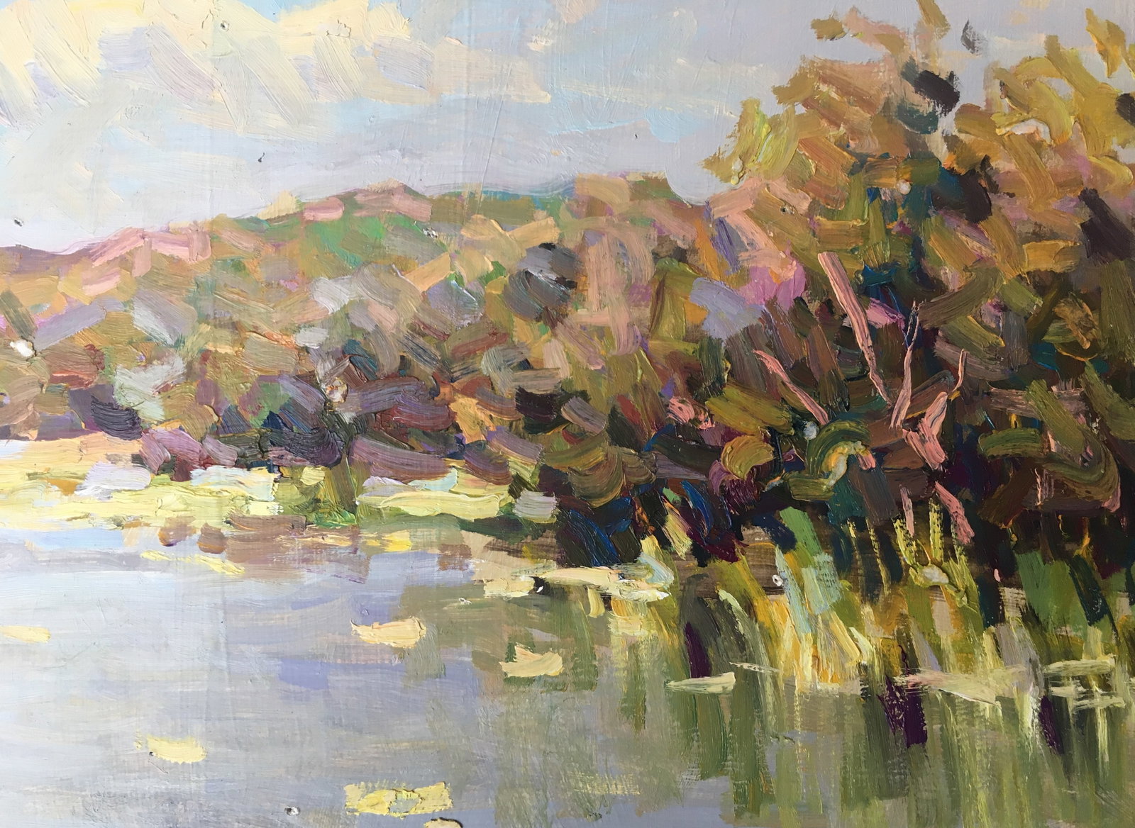 Oil painting river near the forest Sergey Ivanovich - 7