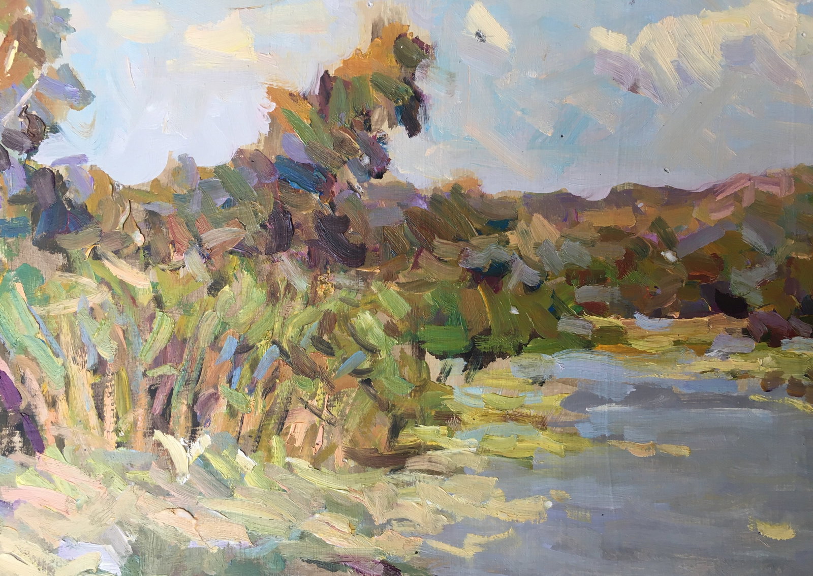 Oil painting river near the forest Sergey Ivanovich - 9