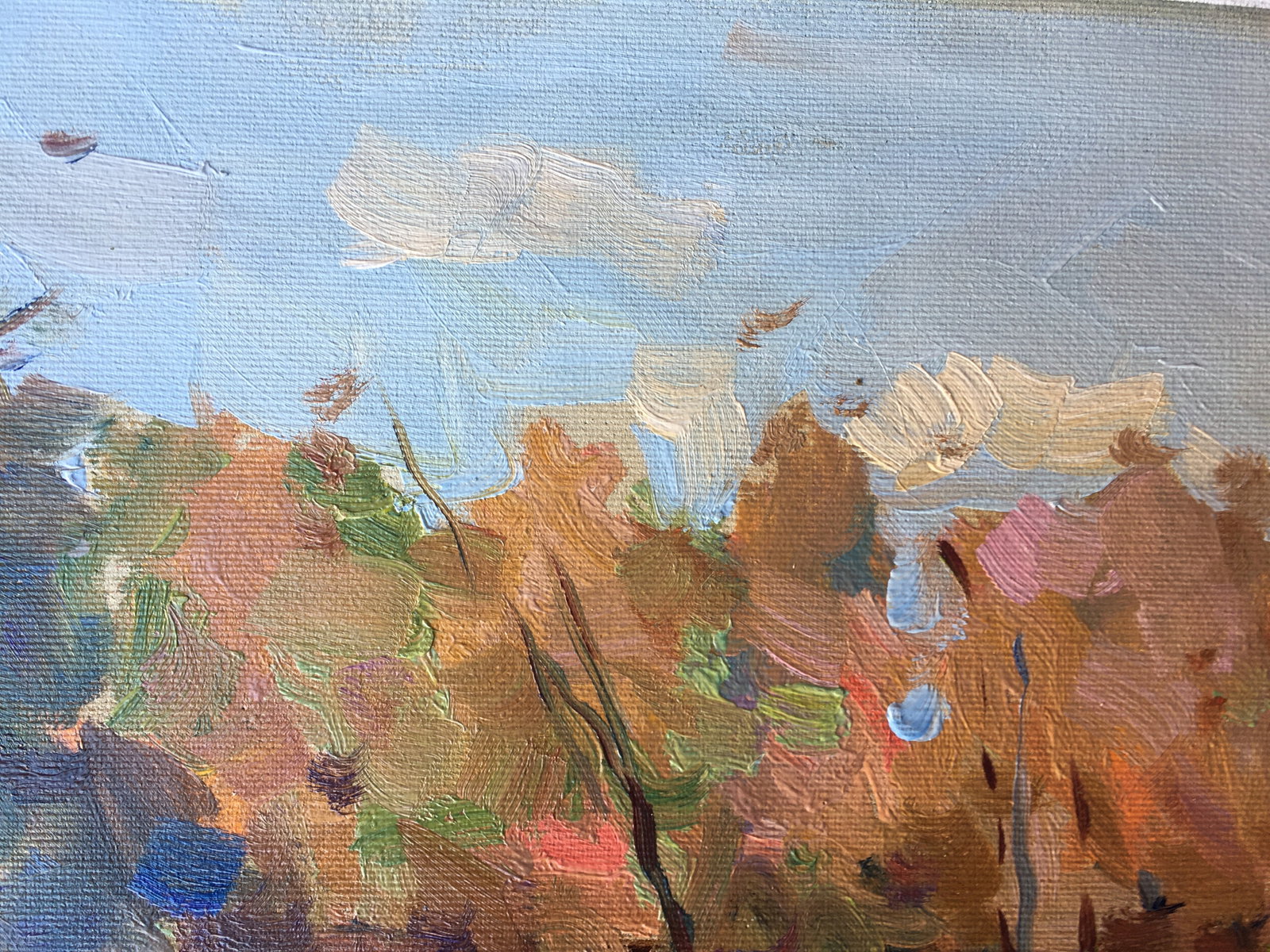 Oil painting Autumn river Sergey Ivanovich - 9