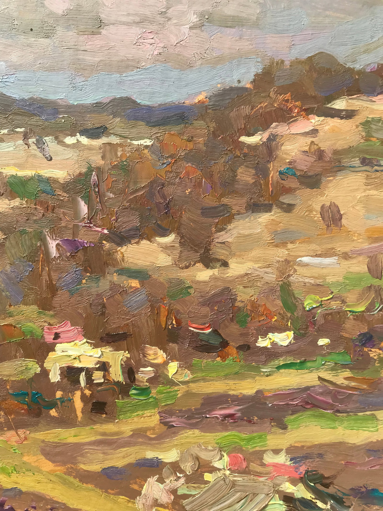 Oil painting Homeland Sergey Ivanovich Animov - 7
