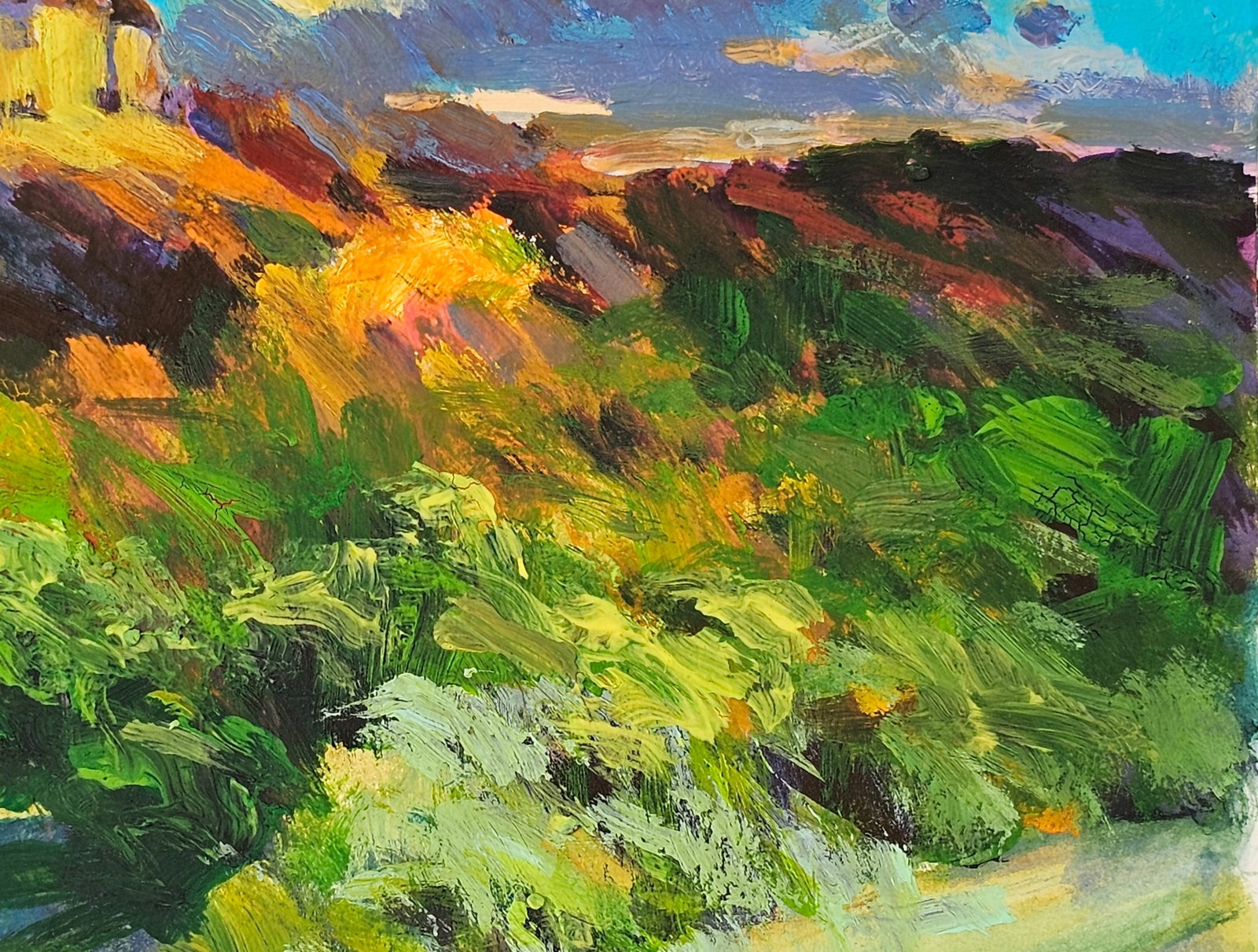 Acrylic painting the city of Ivano-Frankivsk Vyacheslav Petrovich Babac - 9