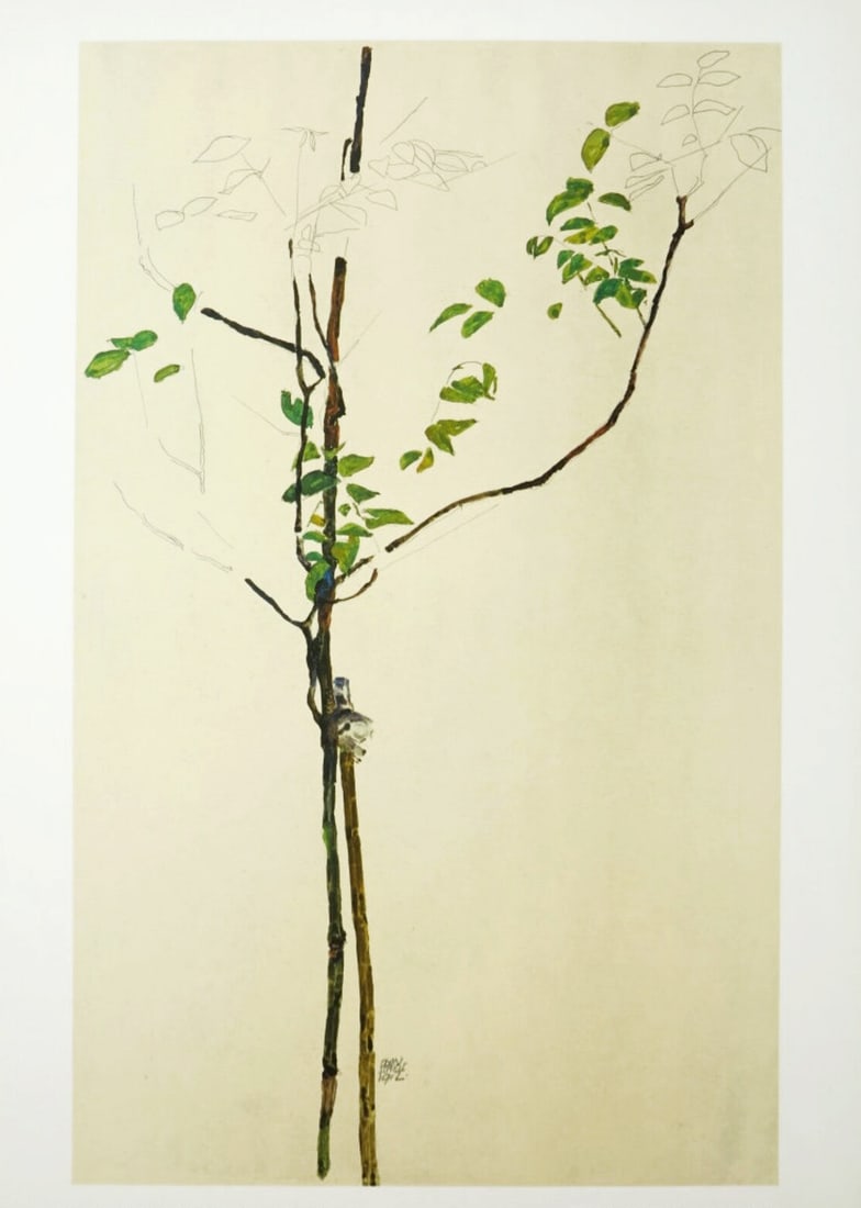 Egon Schiele Lithograph 28 Young Tree 1968: Artist:Egon Schiele Country:Austria Title:Young Tree Medium:Lithograph - 28 Marks:Signed in plate Printed:1968 by Max Jaffe, Vienna, Austria Paper:Heavy paper 20 x 14 inch Provenance:Egon Schiele