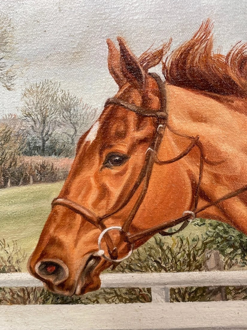 Sue Wingate RCA Equestrian Oil Painting Londolozi Horse Racing Jumping Fence - 4