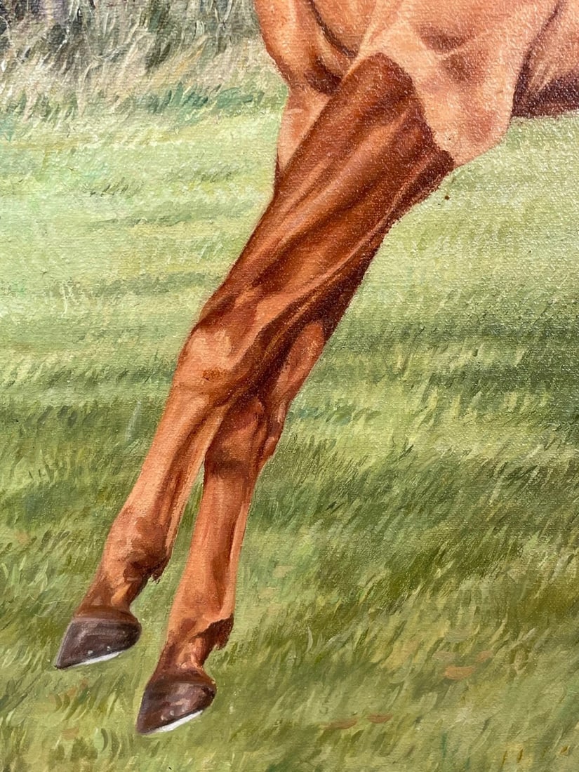 Sue Wingate RCA Equestrian Oil Painting Londolozi Horse Racing Jumping Fence - 5