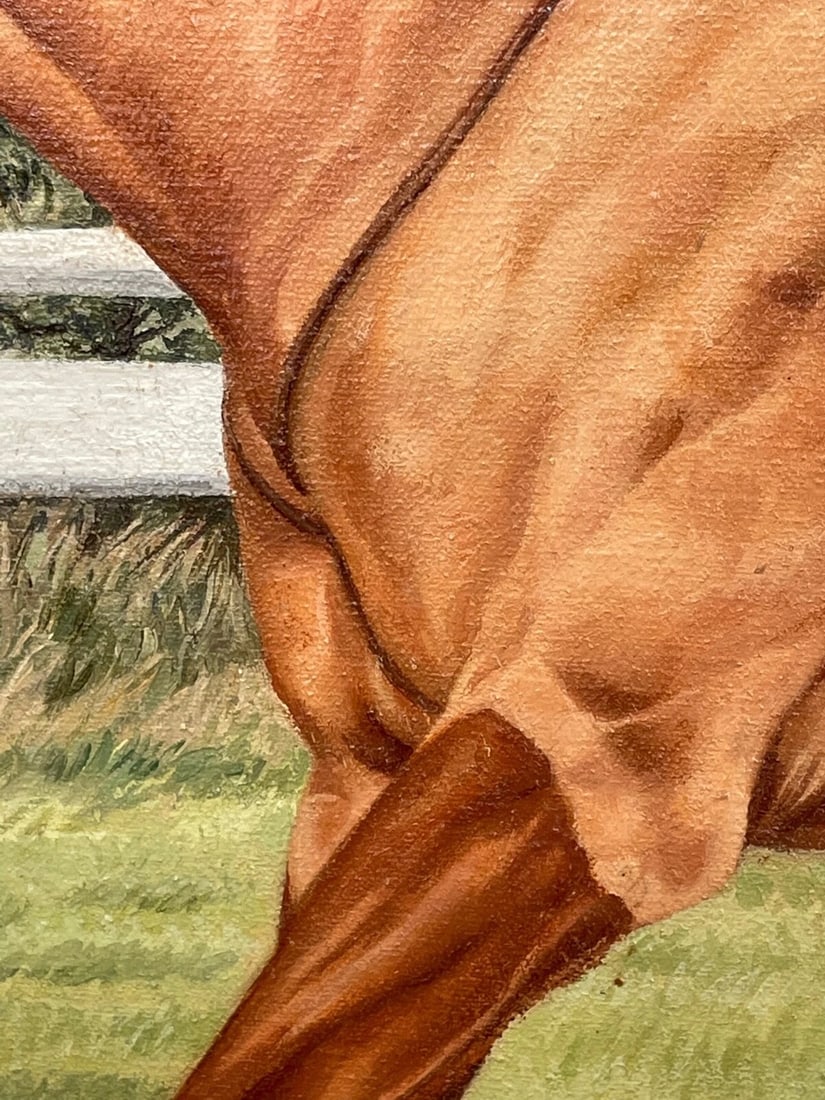 Sue Wingate RCA Equestrian Oil Painting Londolozi Horse Racing Jumping Fence - 7