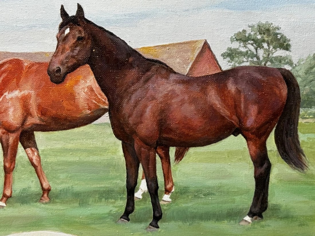 Royal Country Portrait Camilla Queen Consort At Wiltshire Farm Prized Animals - 13