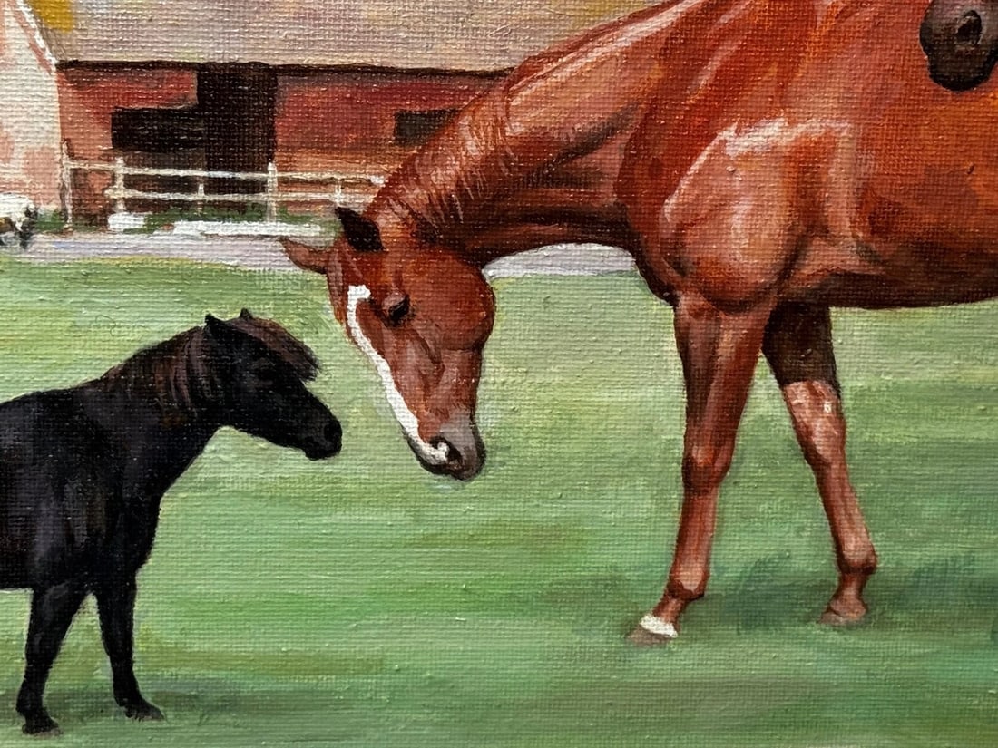 Royal Country Portrait Camilla Queen Consort At Wiltshire Farm Prized Animals - 15