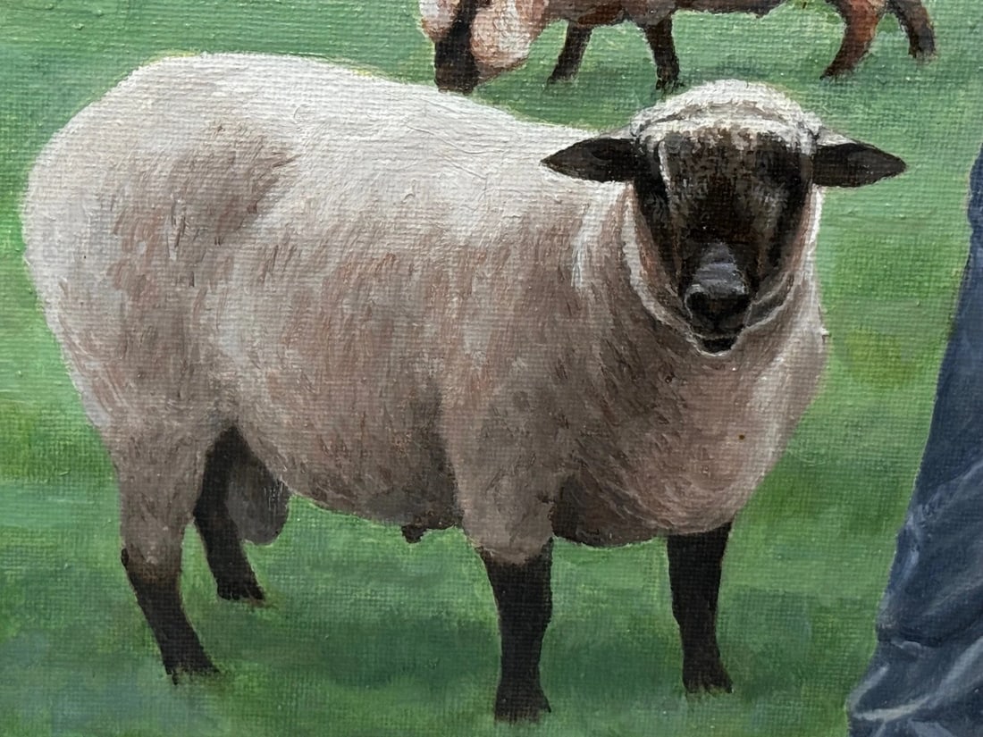 Royal Country Portrait Camilla Queen Consort At Wiltshire Farm Prized Animals - 8