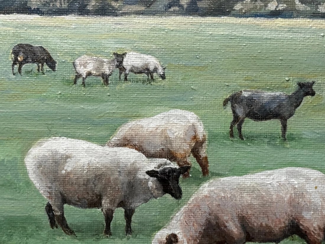 Royal Country Portrait Camilla Queen Consort At Wiltshire Farm Prized Animals - 9