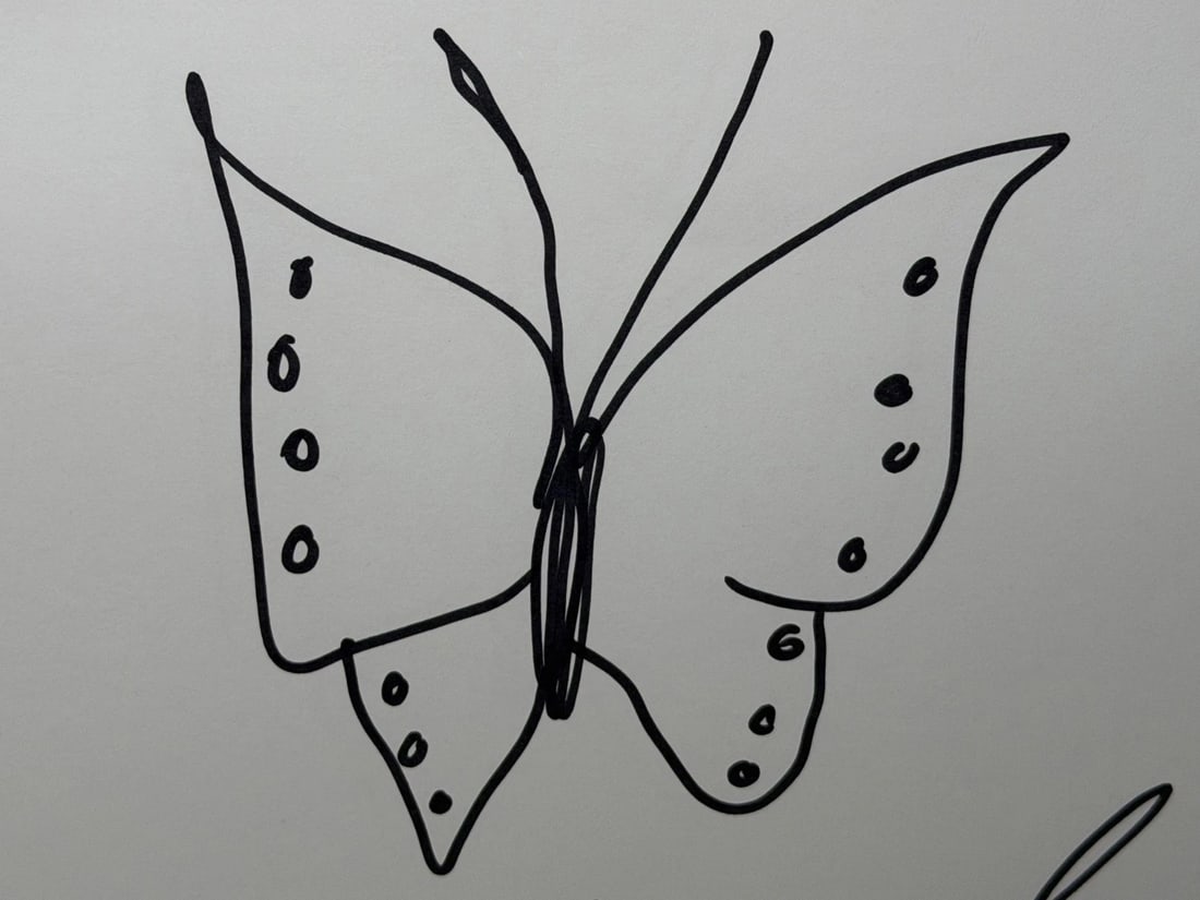 Damien Hirst Butterfly with Hearts – Signed Original Ink Drawing on Paper - 10