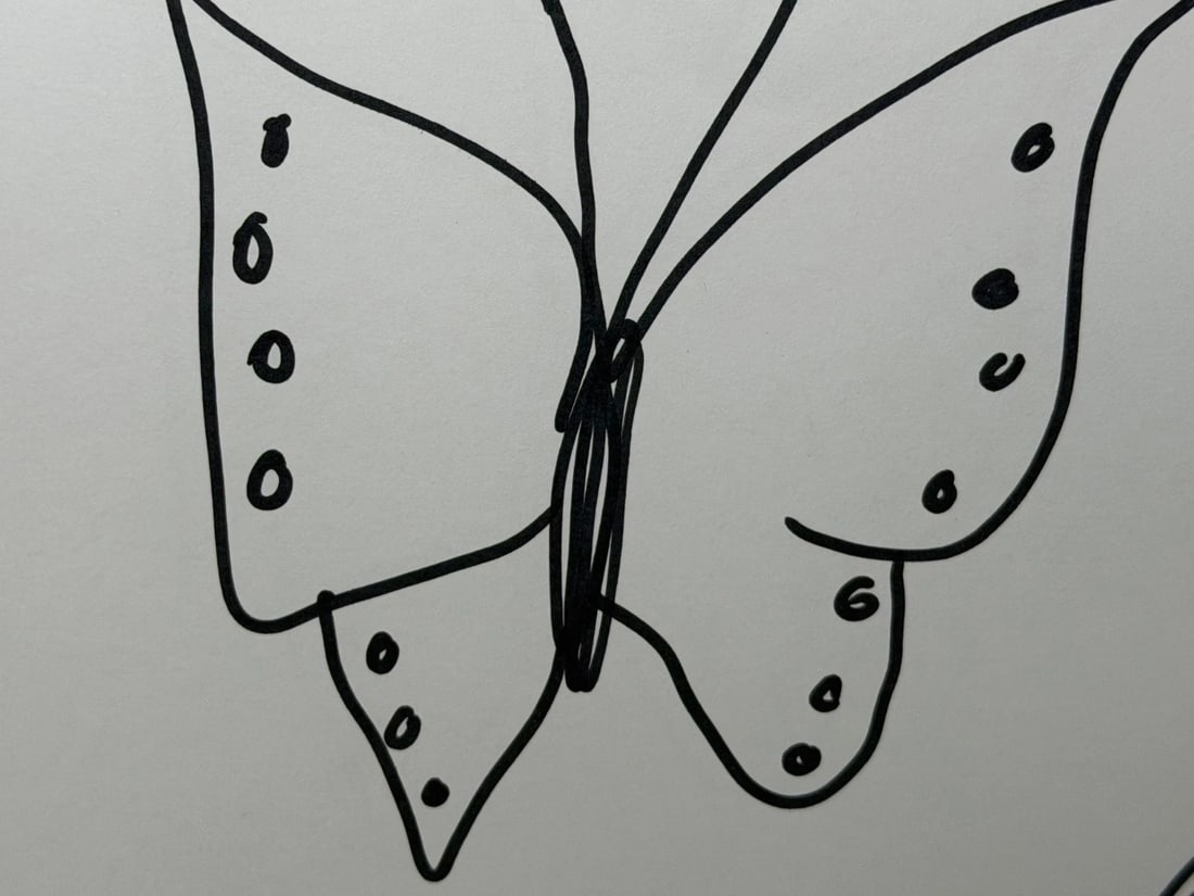 Damien Hirst Butterfly with Hearts – Signed Original Ink Drawing on Paper - 14