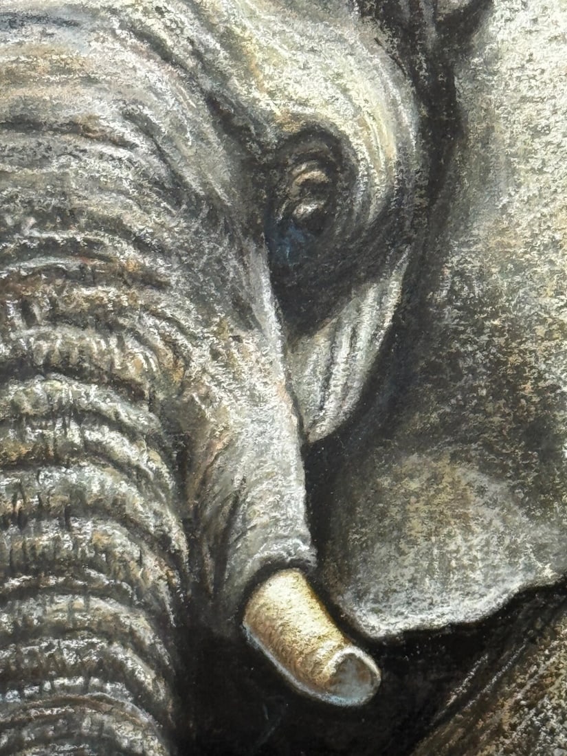 Painting Bull Elephant Ready To Charge Kruger National Park - 10