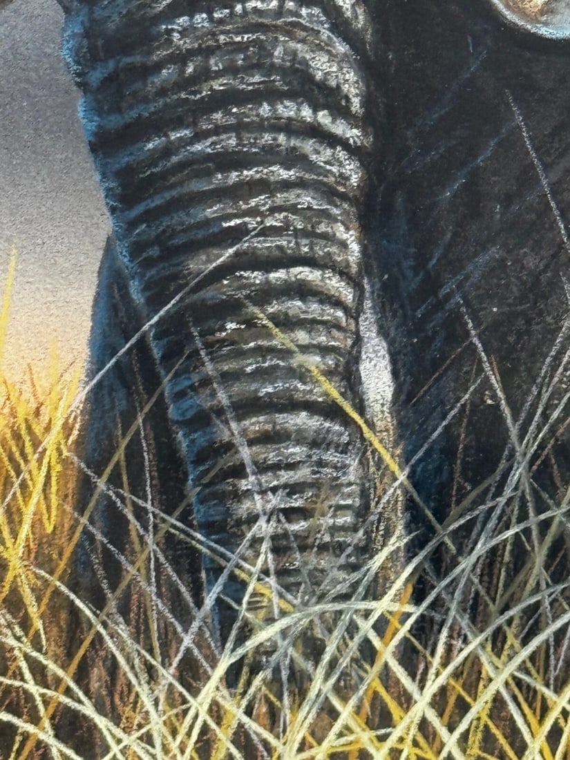 Painting Bull Elephant Ready To Charge Kruger National Park - 11