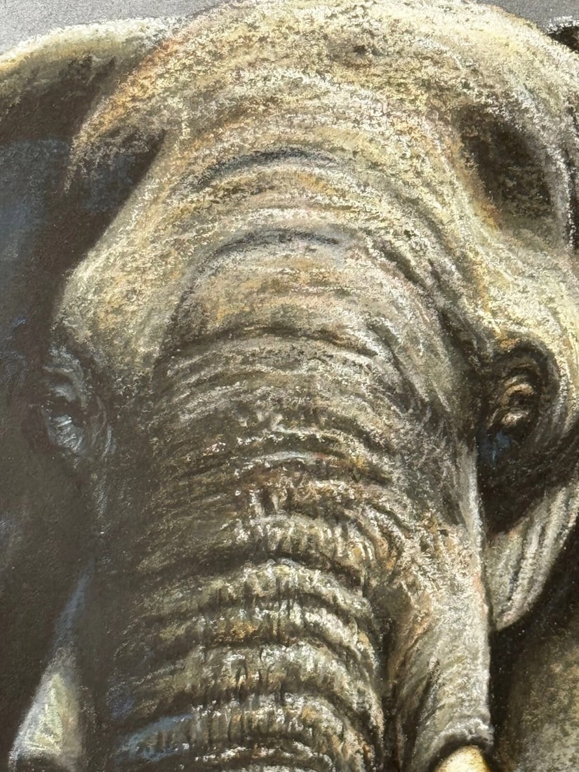 Painting Bull Elephant Ready To Charge Kruger National Park - 14