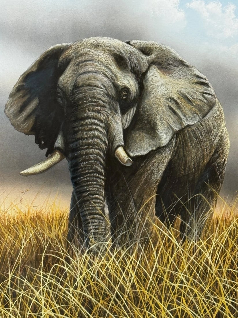 Painting Bull Elephant Ready To Charge Kruger National Park - 2