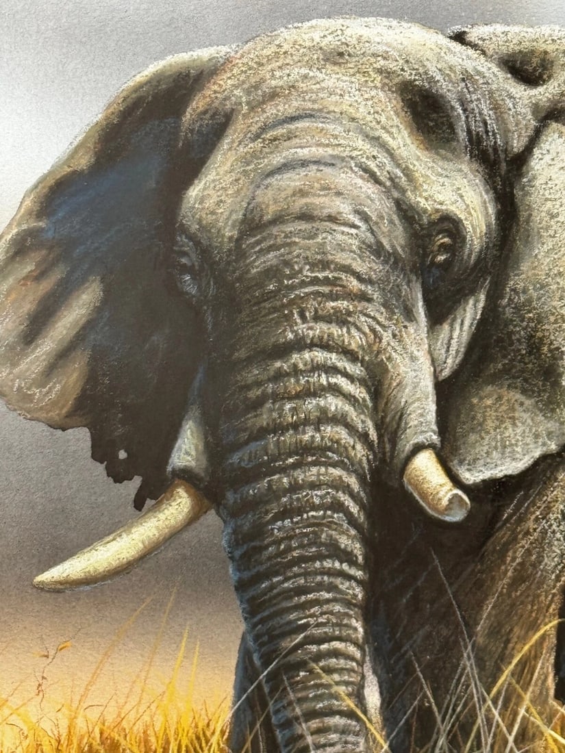 Painting Bull Elephant Ready To Charge Kruger National Park - 7