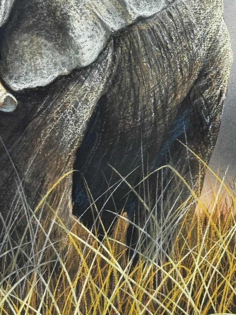 Painting Bull Elephant Ready To Charge Kruger National Park - 8