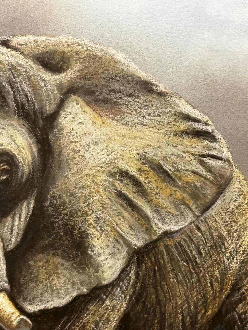 Painting Bull Elephant Ready To Charge Kruger National Park - 9