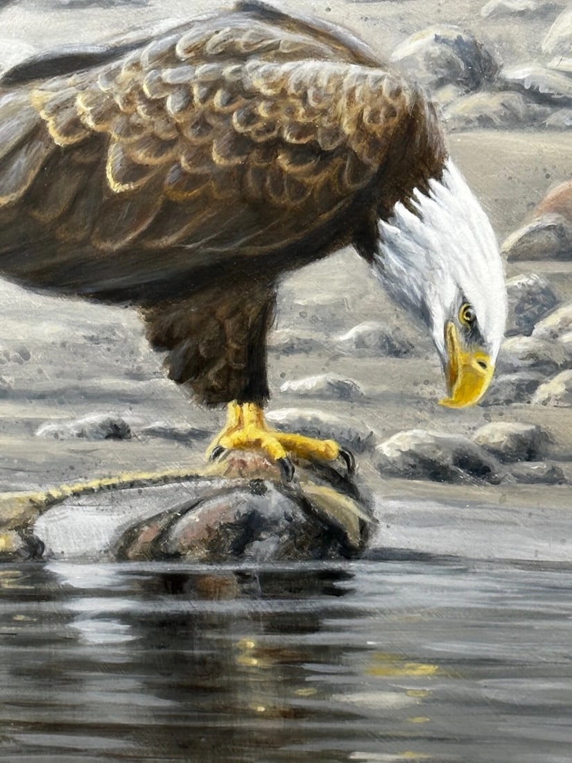 Large Painting North American Bald Eagles Gathering Fishing By Justin Prigmore - 10