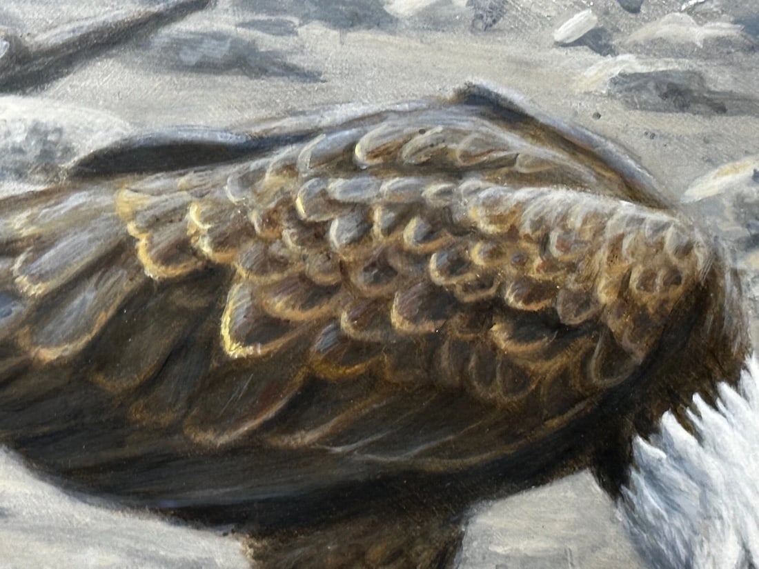 Large Painting North American Bald Eagles Gathering Fishing By Justin Prigmore - 11