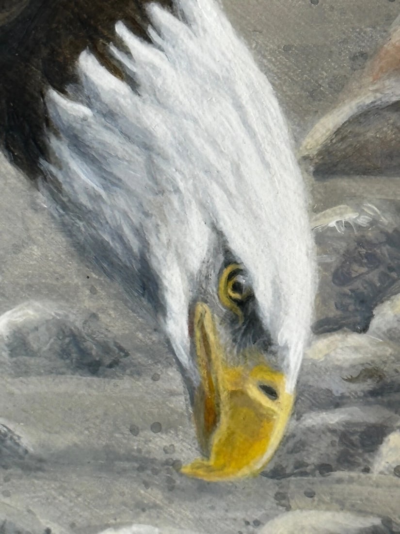 Large Painting North American Bald Eagles Gathering Fishing By Justin Prigmore - 14