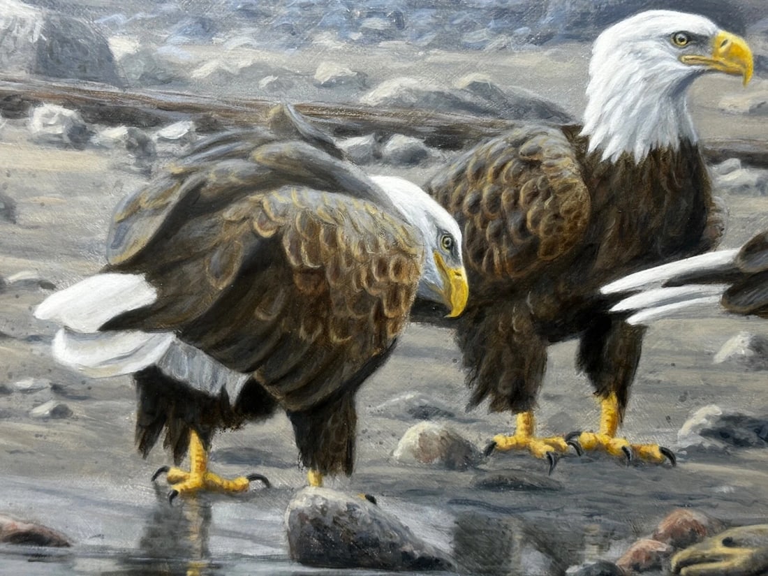 Large Painting North American Bald Eagles Gathering Fishing By Justin Prigmore - 15