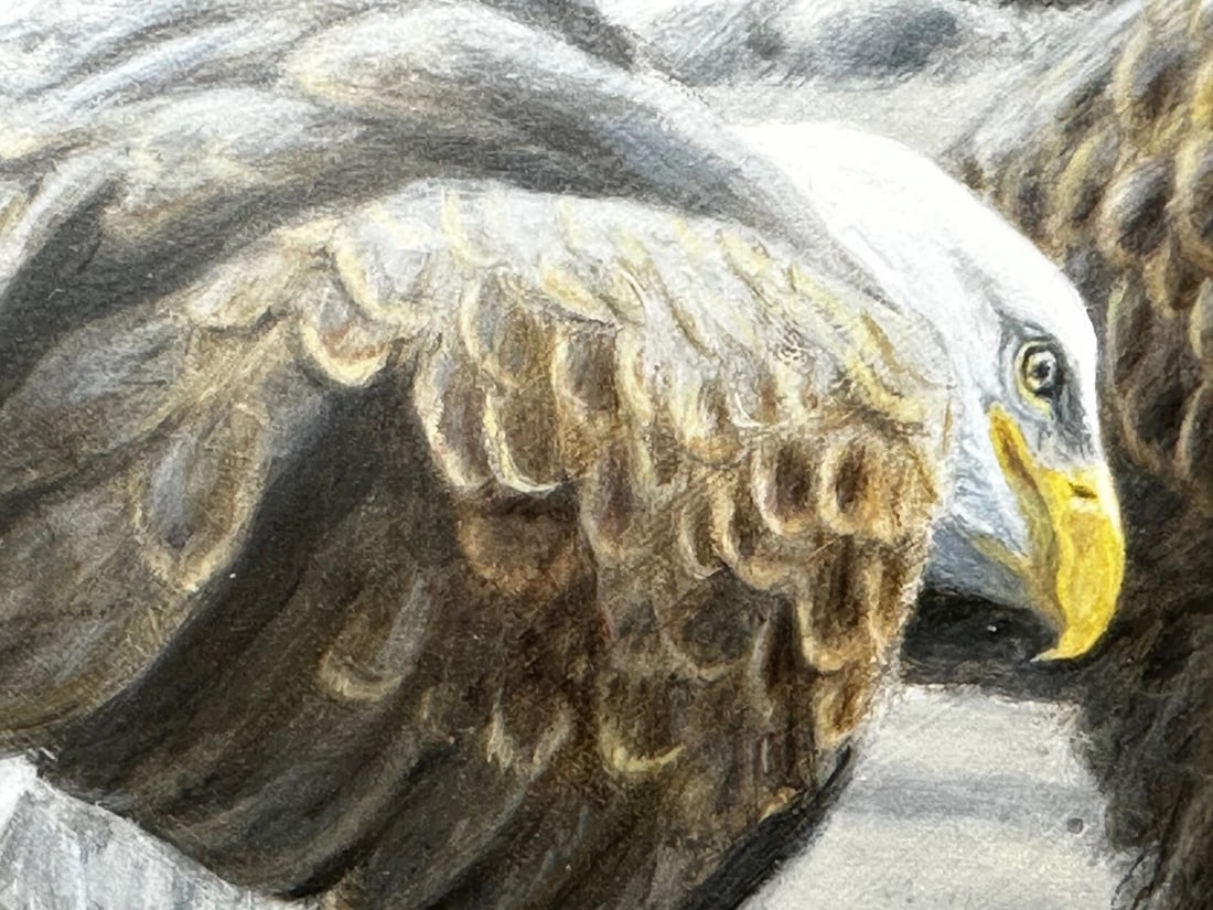 Large Painting North American Bald Eagles Gathering Fishing By Justin Prigmore - 17