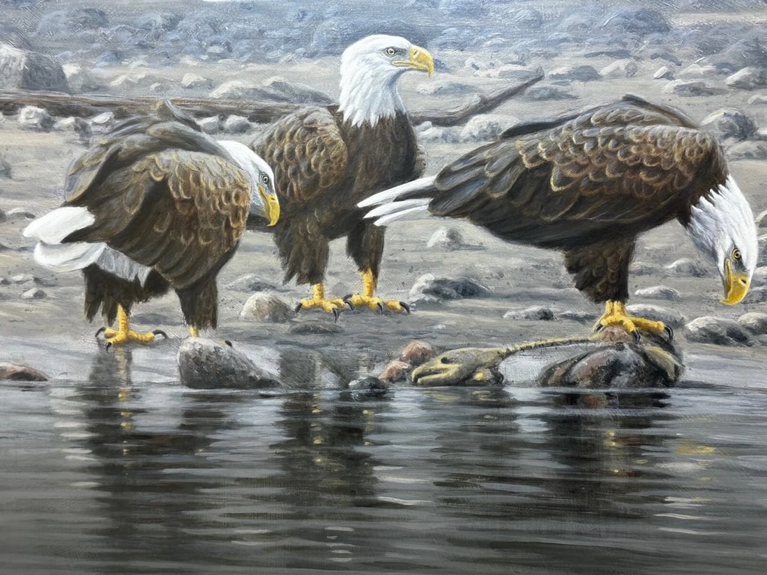 Large Painting North American Bald Eagles Gathering Fishing By Justin Prigmore - 8