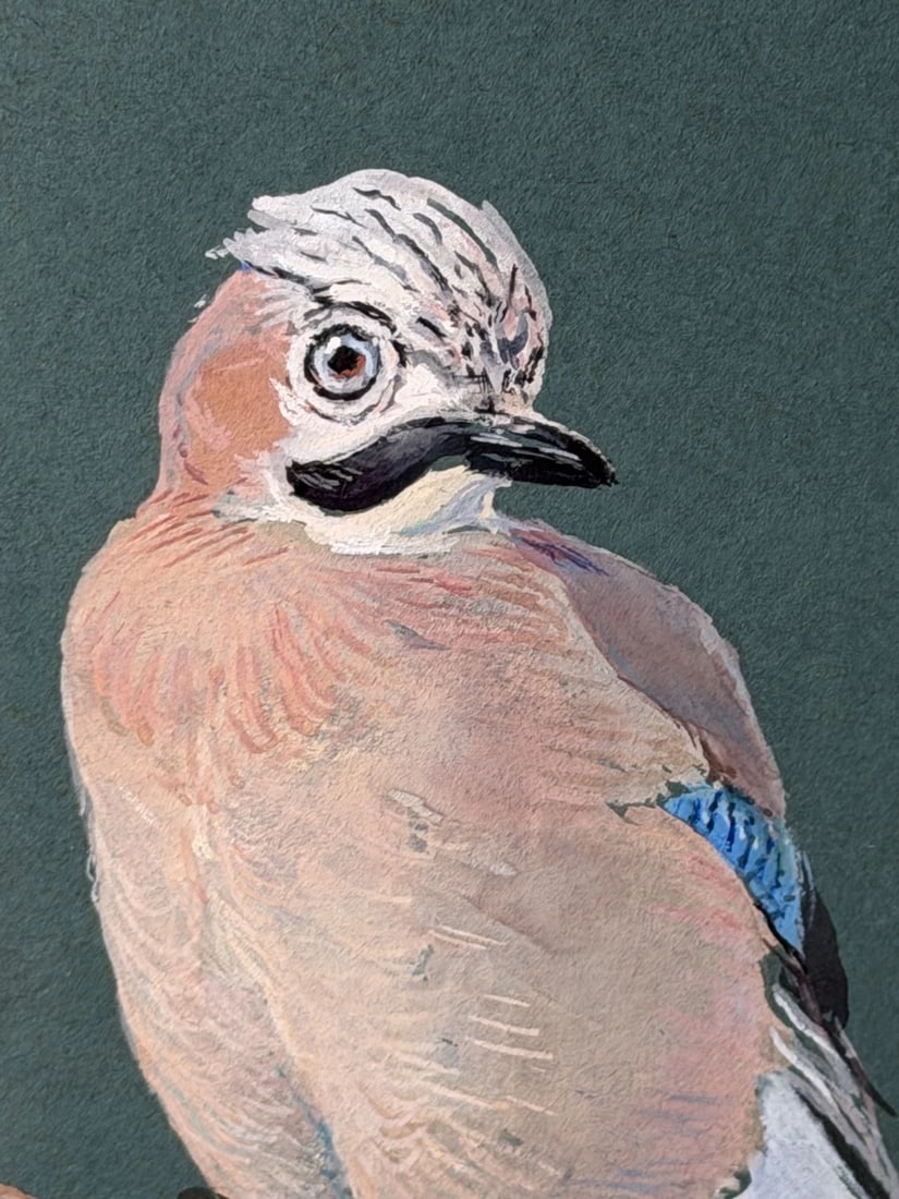 Original Painting Bird Study Jays Signed Donald Watson (1918–2005) Dated 1957 - 10