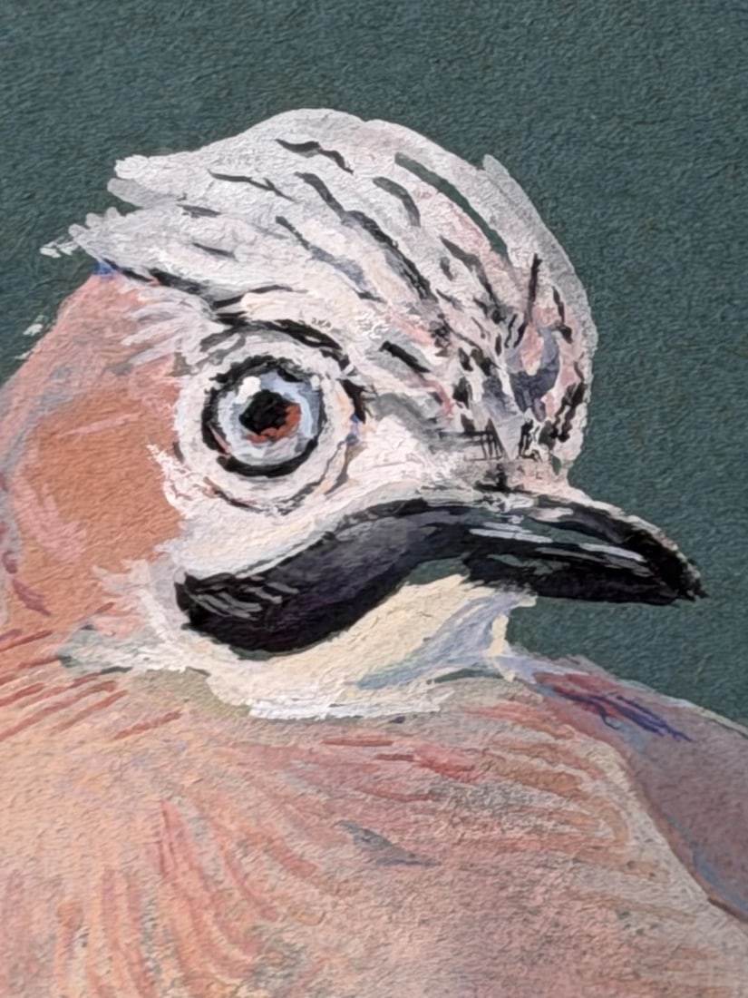 Original Painting Bird Study Jays Signed Donald Watson (1918–2005) Dated 1957 - 11
