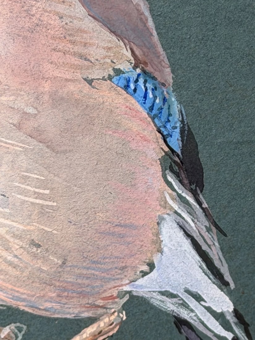 Original Painting Bird Study Jays Signed Donald Watson (1918–2005) Dated 1957 - 12