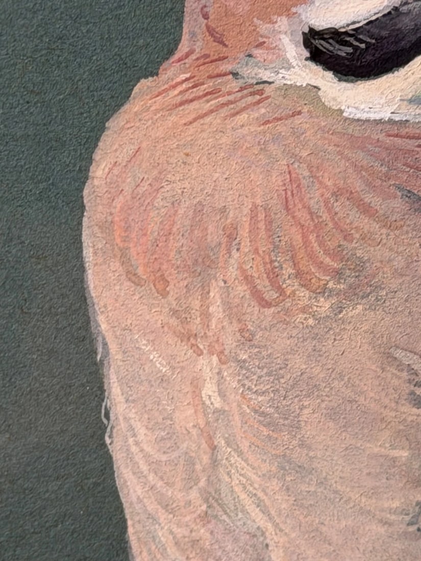 Original Painting Bird Study Jays Signed Donald Watson (1918–2005) Dated 1957 - 15