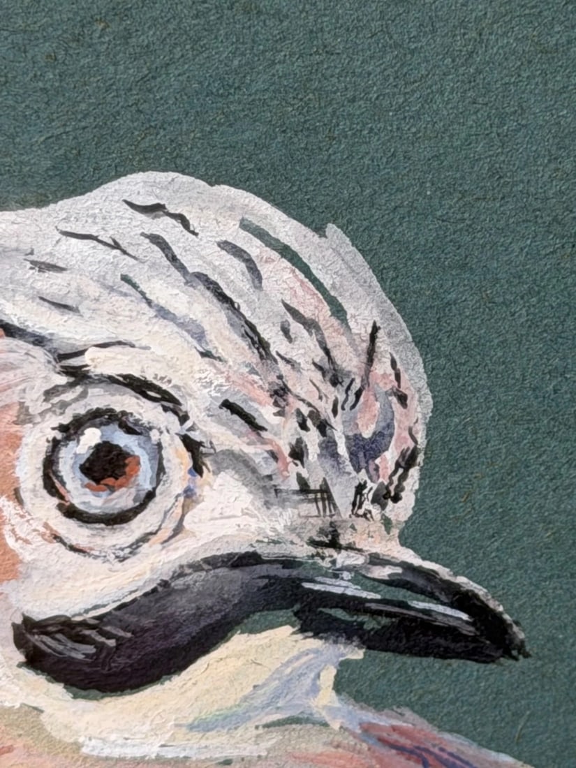 Original Painting Bird Study Jays Signed Donald Watson (1918–2005) Dated 1957 - 16