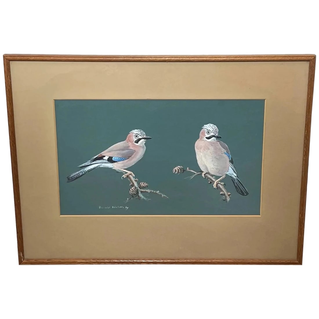 Original Painting Bird Study Jays Signed Donald Watson (1918–2005) Dated 1957 (1 of 20)