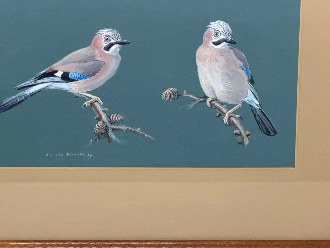 Original Painting Bird Study Jays Signed Donald Watson (1918–2005) Dated 1957 - 3