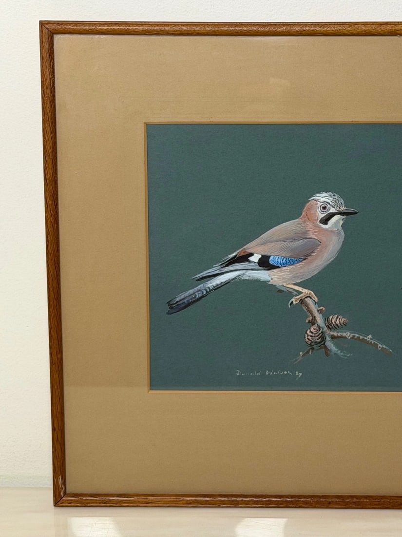 Original Painting Bird Study Jays Signed Donald Watson (1918–2005) Dated 1957 - 6