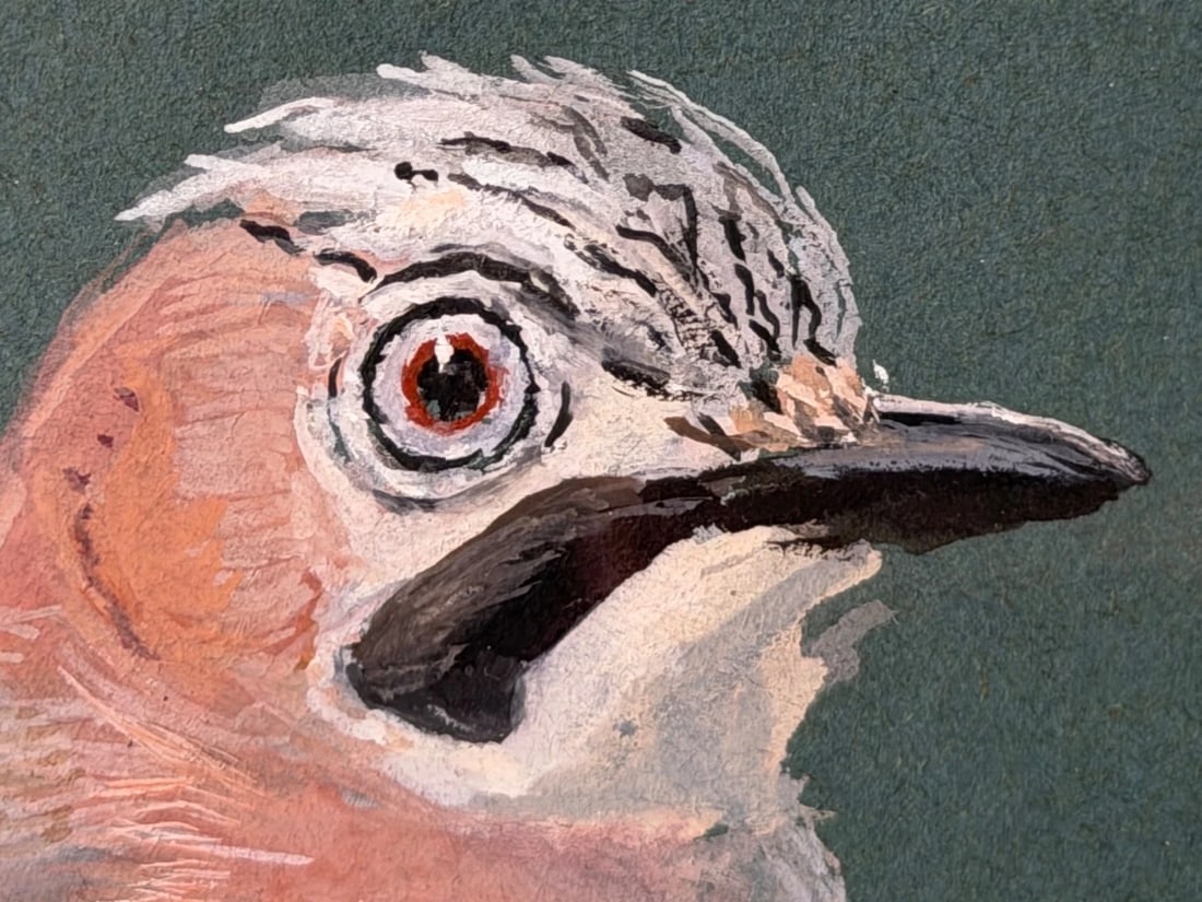 Original Painting Bird Study Jays Signed Donald Watson (1918–2005) Dated 1957 - 8