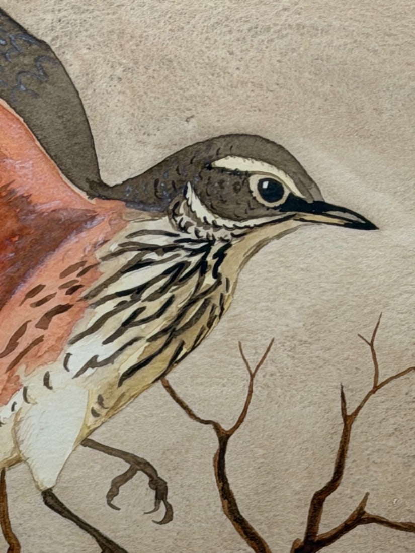 Mid Century Painting Redwing Bird Signed By Ralston Gudgeon RSW 1910-1984 - 10