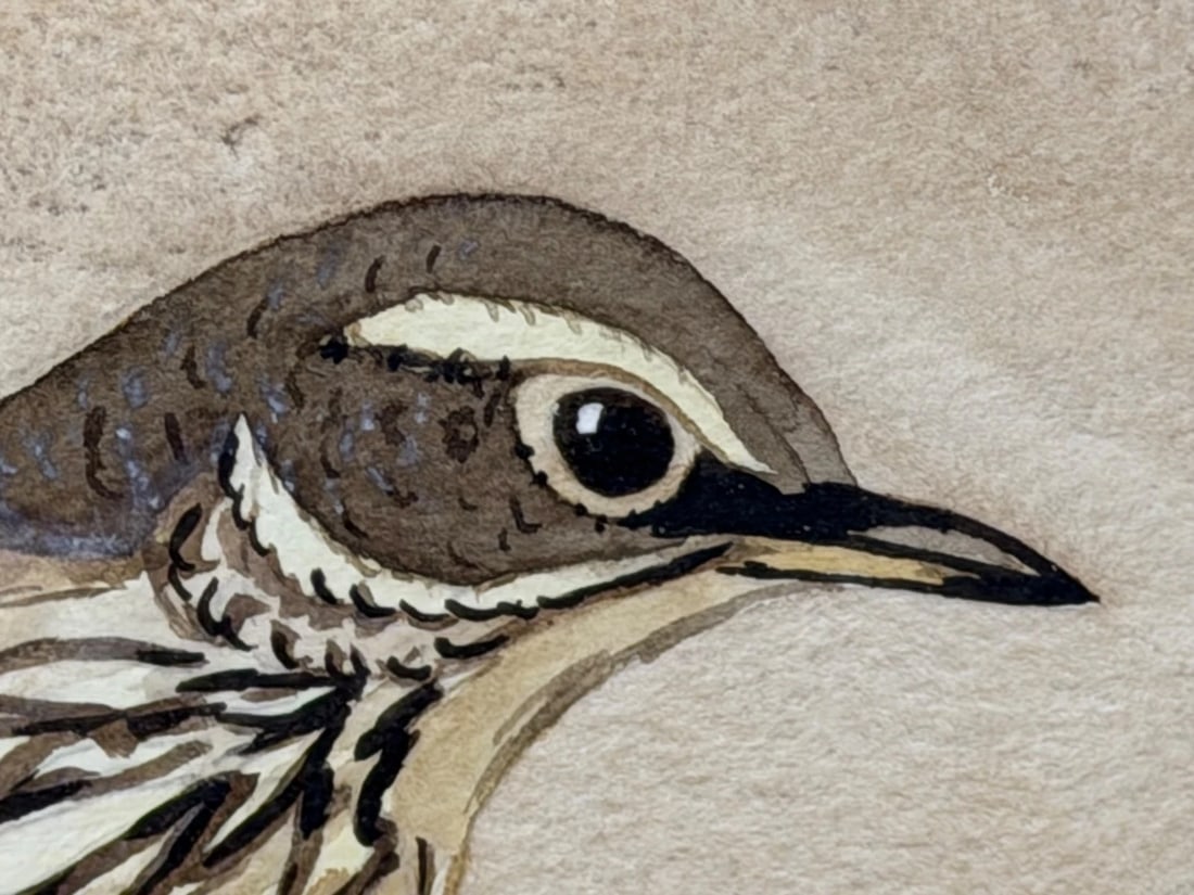 Mid Century Painting Redwing Bird Signed By Ralston Gudgeon RSW 1910-1984 - 18