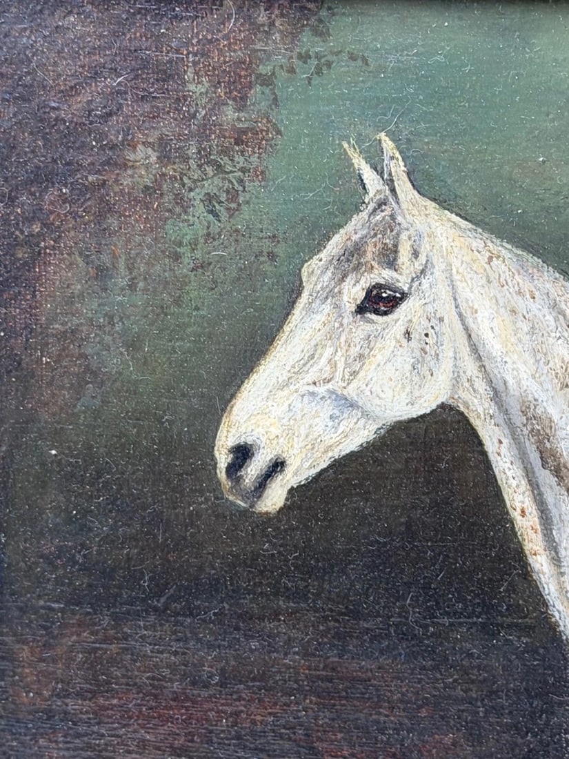 Grisette Flea-Bitten Grey Hunter Mare Sporting Oil Signed Herbert St. John Jones - 3